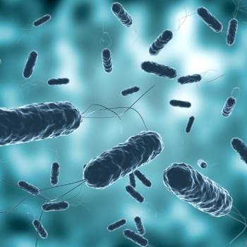 How Do Infections Spread?