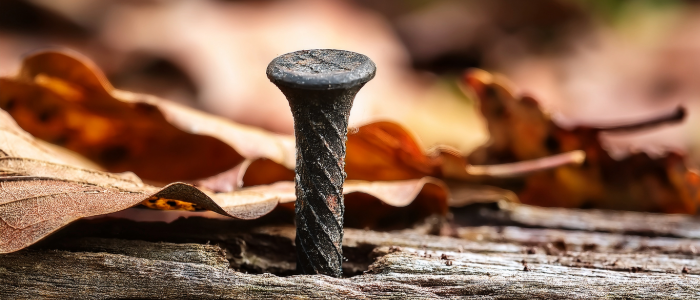 Rusty nail protruding from a wooden board outdoors—symbolizing potential risk for tetanus infection from contaminated wounds.
